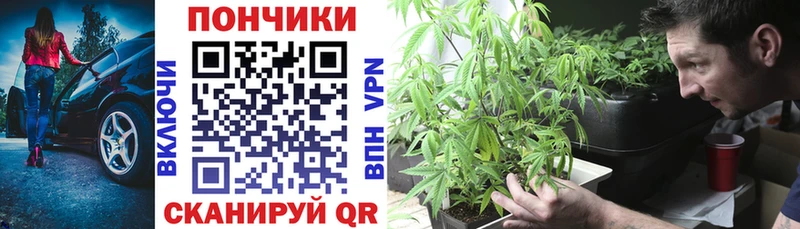 Где найти наркотики Енисейск Псилоцибиновые грибы  Alpha PVP  МЕФ  Марихуана 