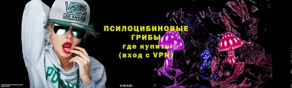 ПСИЛОЦИБИНОВЫЕ ГРИБЫ Алзамай