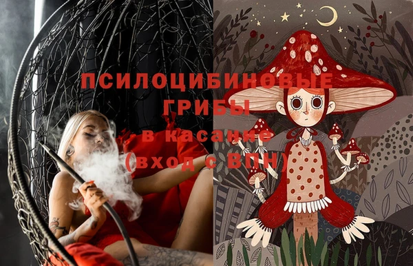 ПСИЛОЦИБИНОВЫЕ ГРИБЫ Алзамай