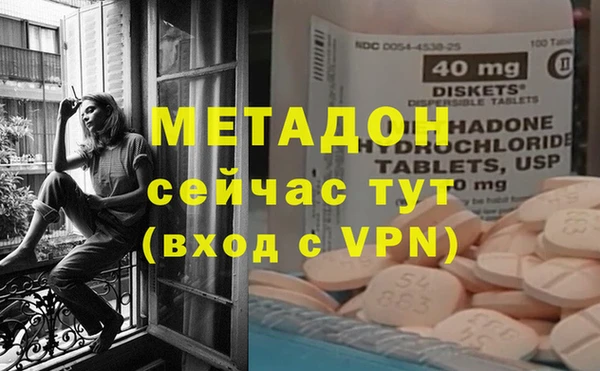 гидра Абаза