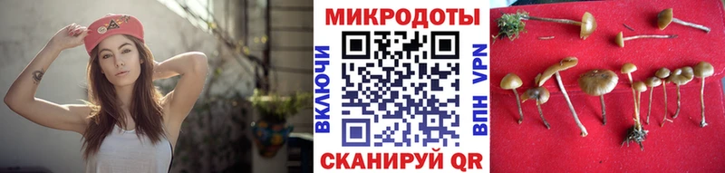 мега вход  Енисейск  Псилоцибиновые грибы Psilocybe  купить наркоту 